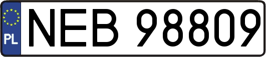 NEB98809