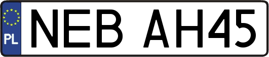 NEBAH45