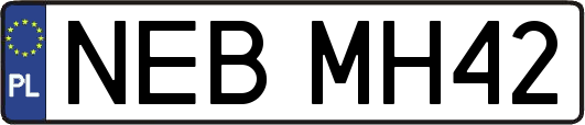 NEBMH42