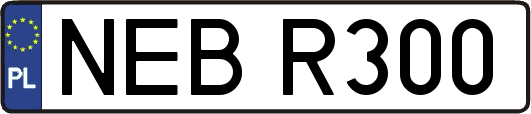 NEBR300