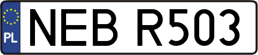 NEBR503