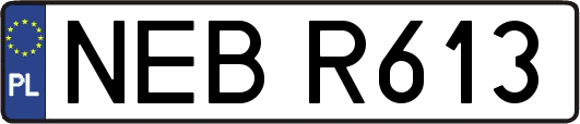 NEBR613