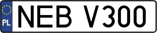 NEBV300