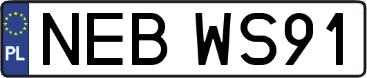 NEBWS91