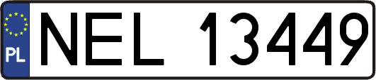 NEL13449