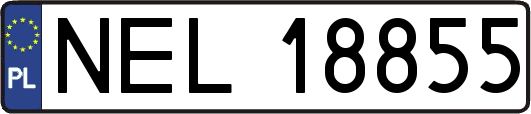 NEL18855