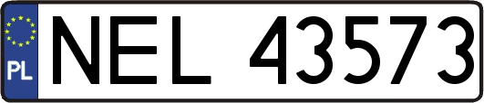 NEL43573
