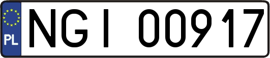 NGI00917