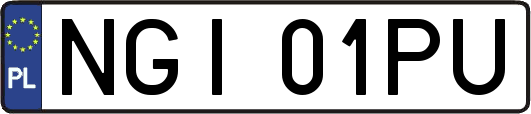 NGI01PU
