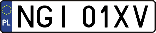 NGI01XV