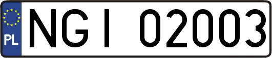 NGI02003