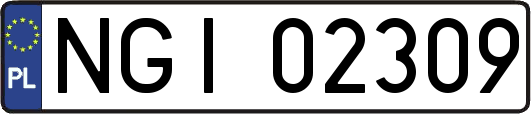 NGI02309