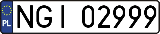 NGI02999