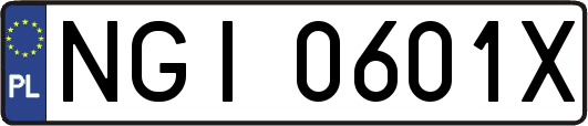 NGI0601X