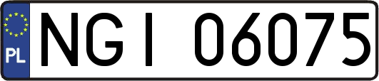 NGI06075