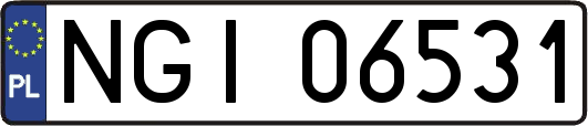 NGI06531