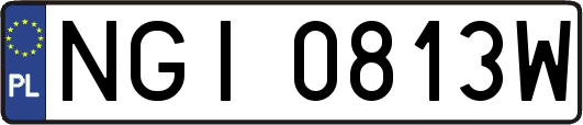 NGI0813W