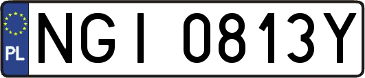 NGI0813Y
