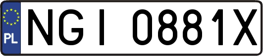 NGI0881X