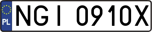 NGI0910X
