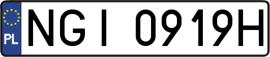 NGI0919H