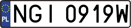 NGI0919W