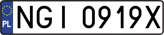 NGI0919X