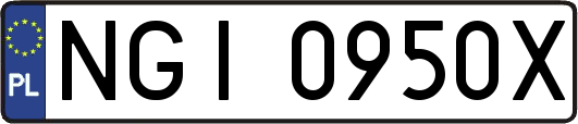 NGI0950X