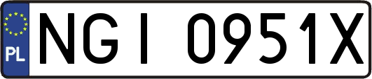 NGI0951X