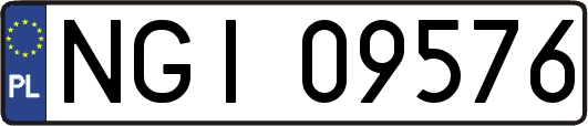 NGI09576