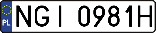 NGI0981H