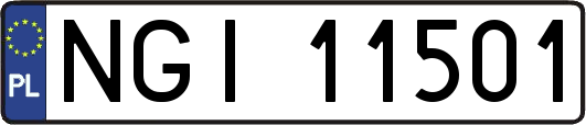 NGI11501