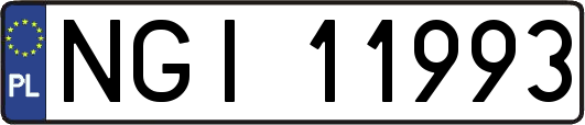 NGI11993