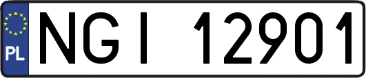 NGI12901