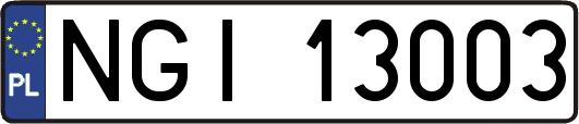 NGI13003