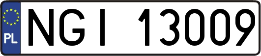 NGI13009