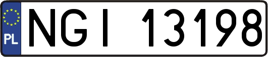 NGI13198