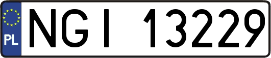 NGI13229