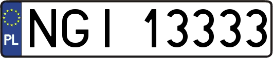 NGI13333