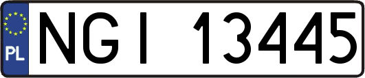 NGI13445