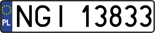 NGI13833