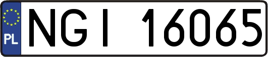 NGI16065