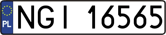 NGI16565