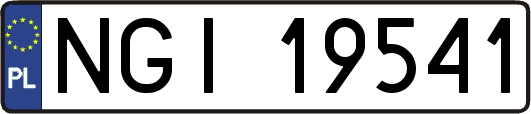 NGI19541