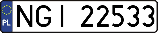 NGI22533