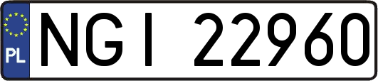 NGI22960