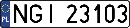 NGI23103