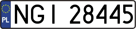 NGI28445