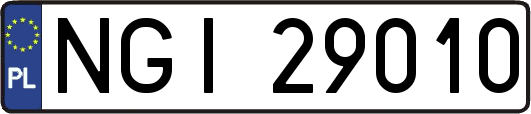 NGI29010