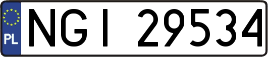 NGI29534